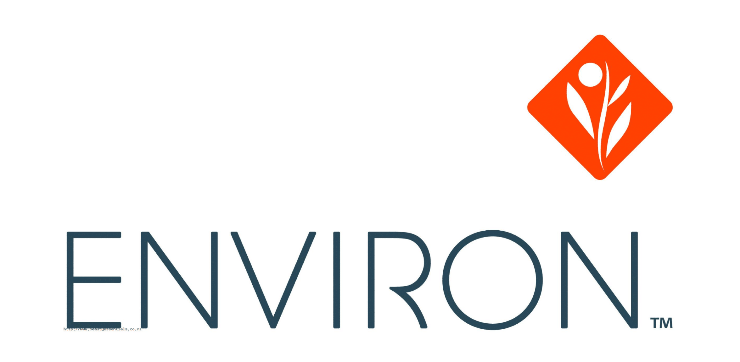 environ logo copy