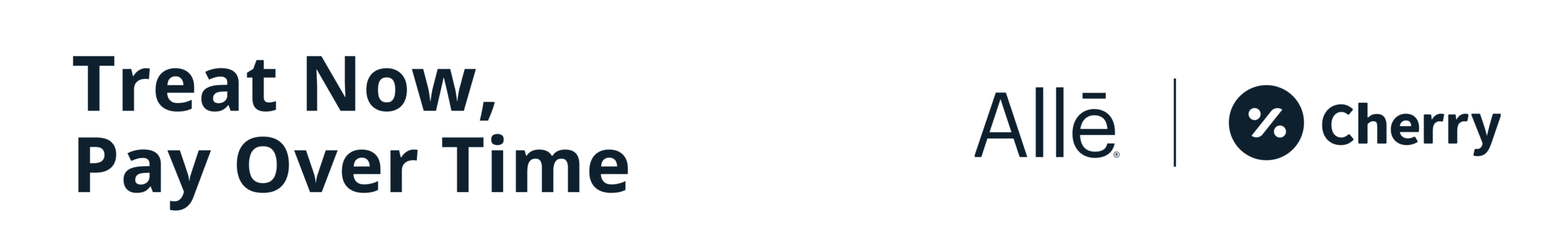 Banner Transparent BG Pay Over Time